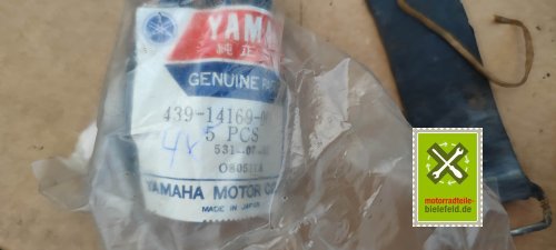 IMG_20230913_175552